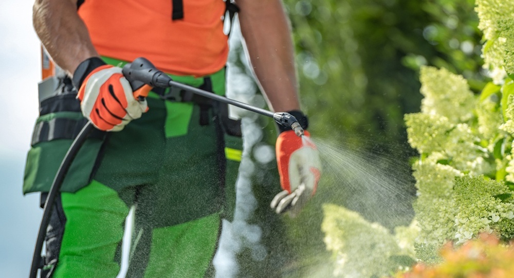 Обработка сада весной от вредителей и болезней: инструкция