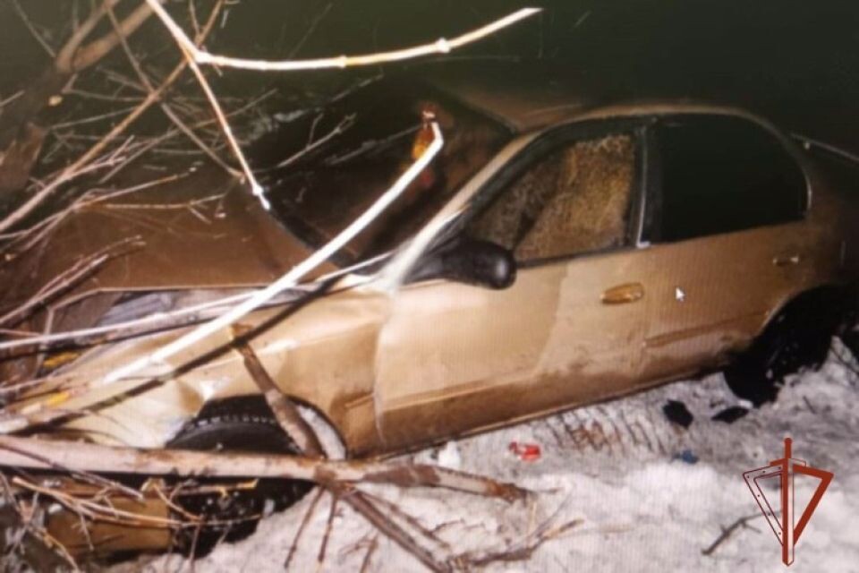    "Гонщик" врезался в дерево. Источник: 22.rosguard.gov.ru