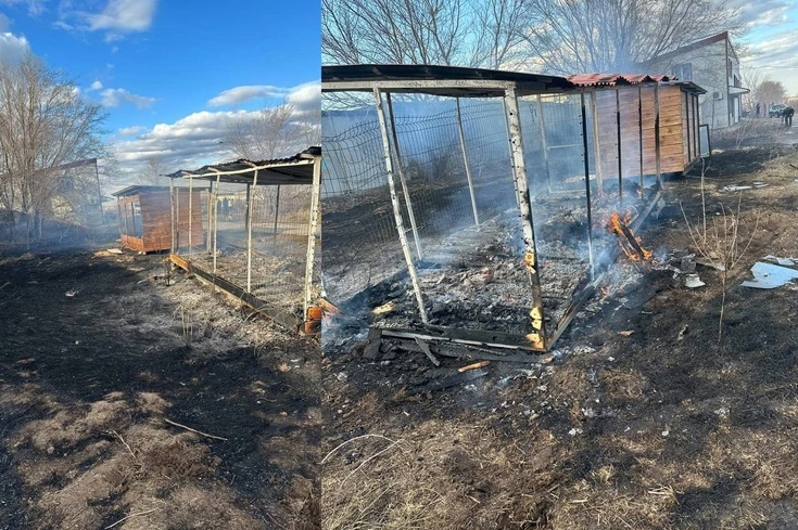    Вольеры сгорели дотла. Фото: Telegram-канал ЧП Самара
