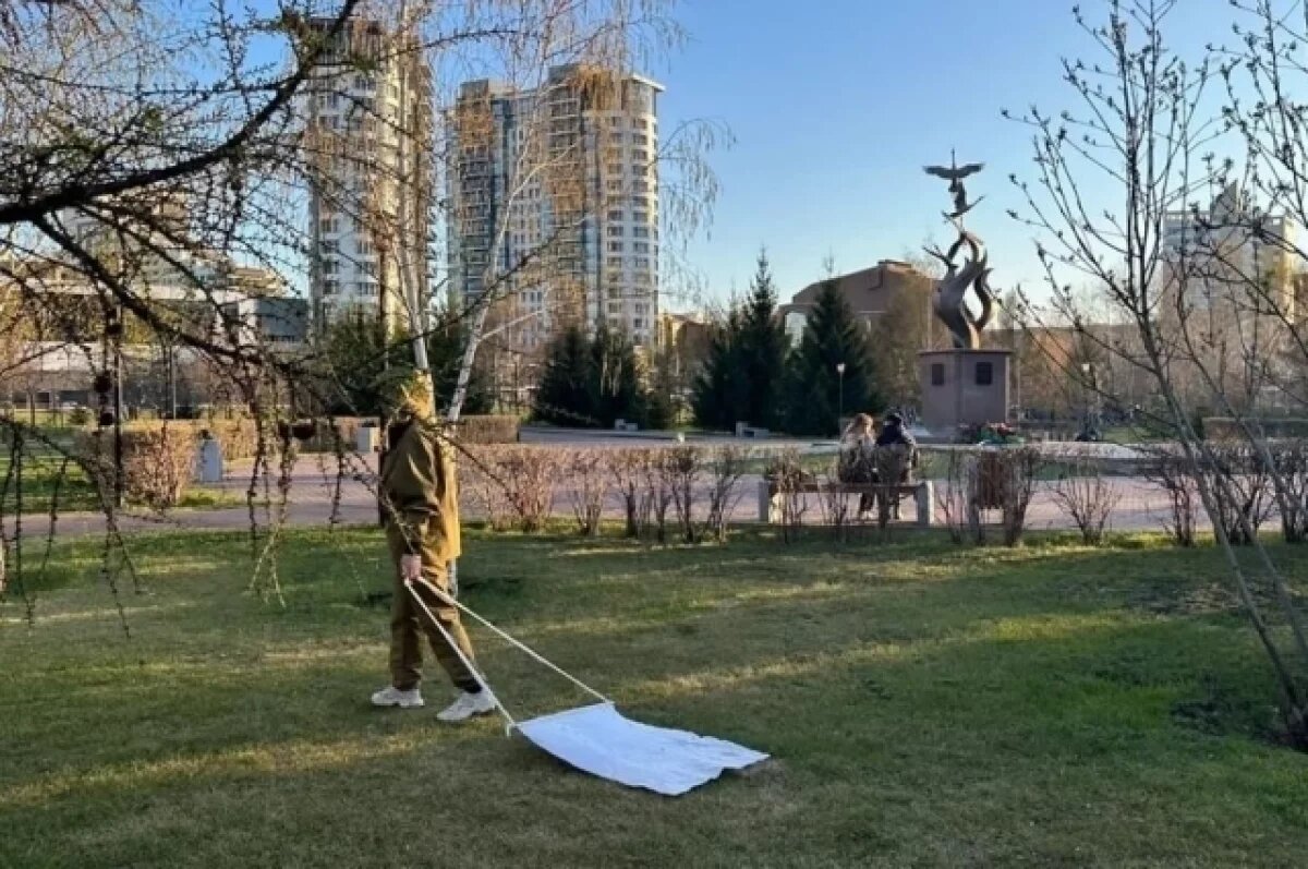    С приходом тепла улицы Красноярска обработают от клещей