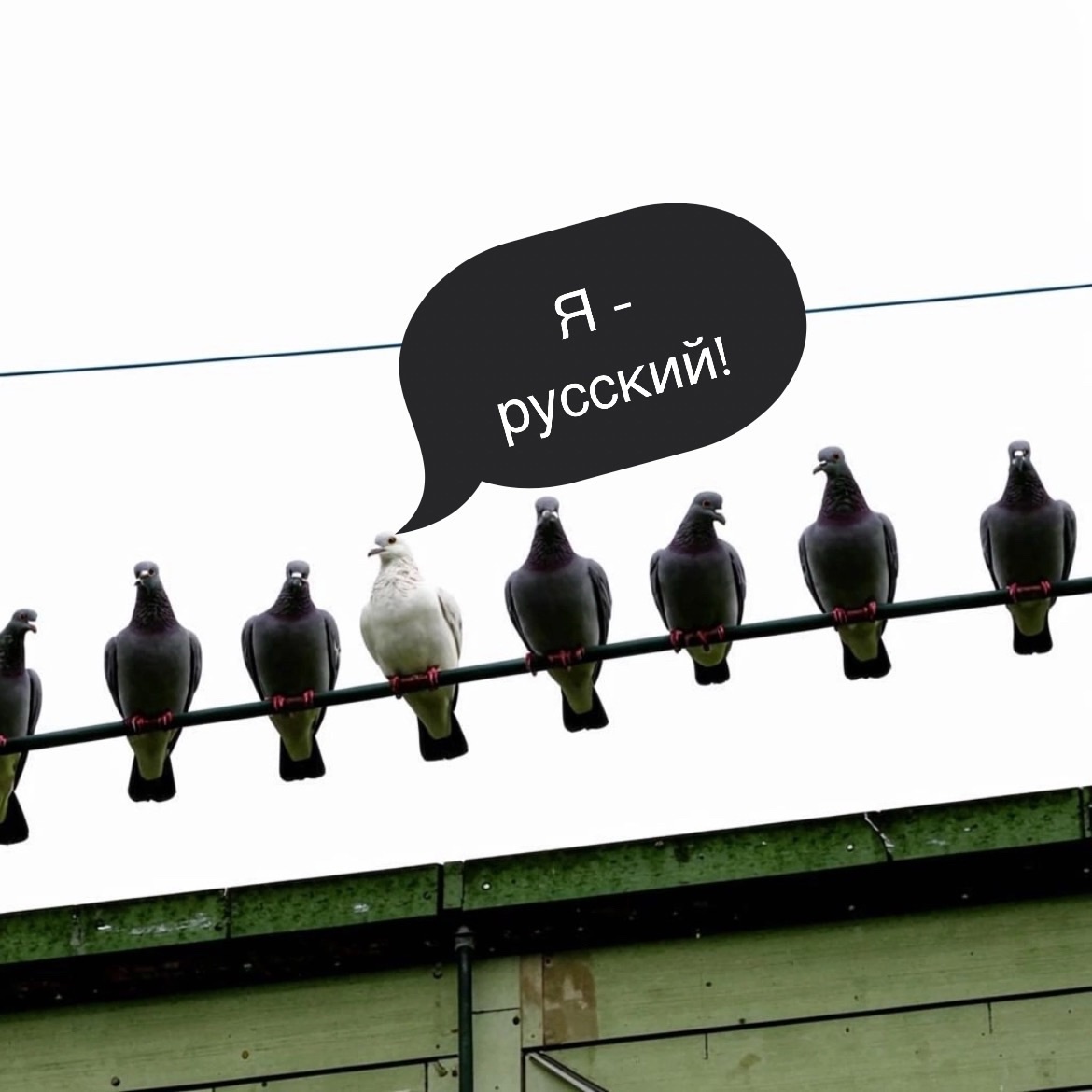 Сгенировано нейросетью.