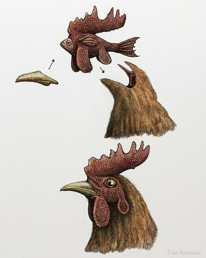 Источник: www.timandraka.com