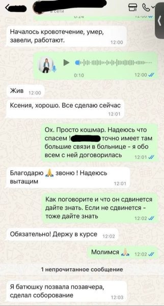    Переписка Ксении Собчак. Фото: Телеграм