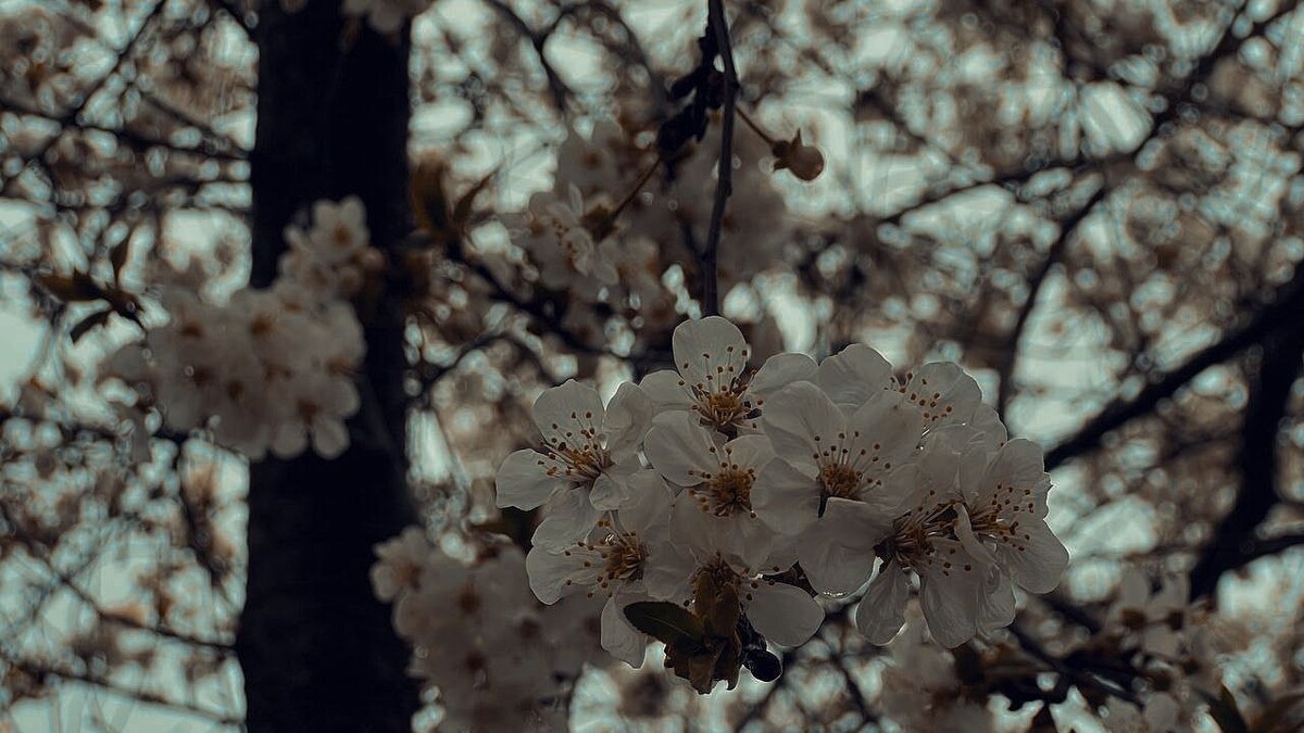    Фото: телеканал «Краснодар»