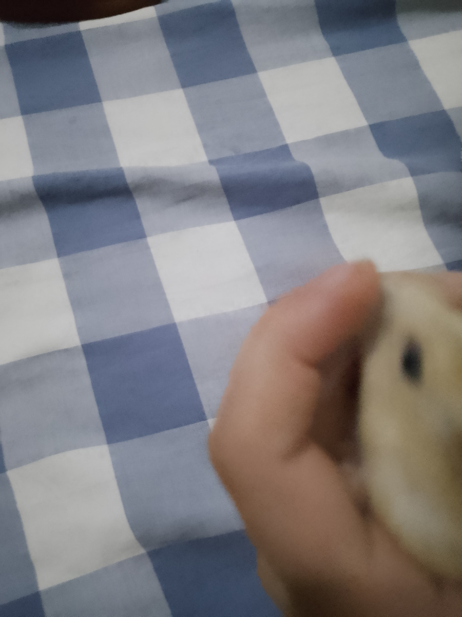 Ирисонька будет скучать по вам и я тоже