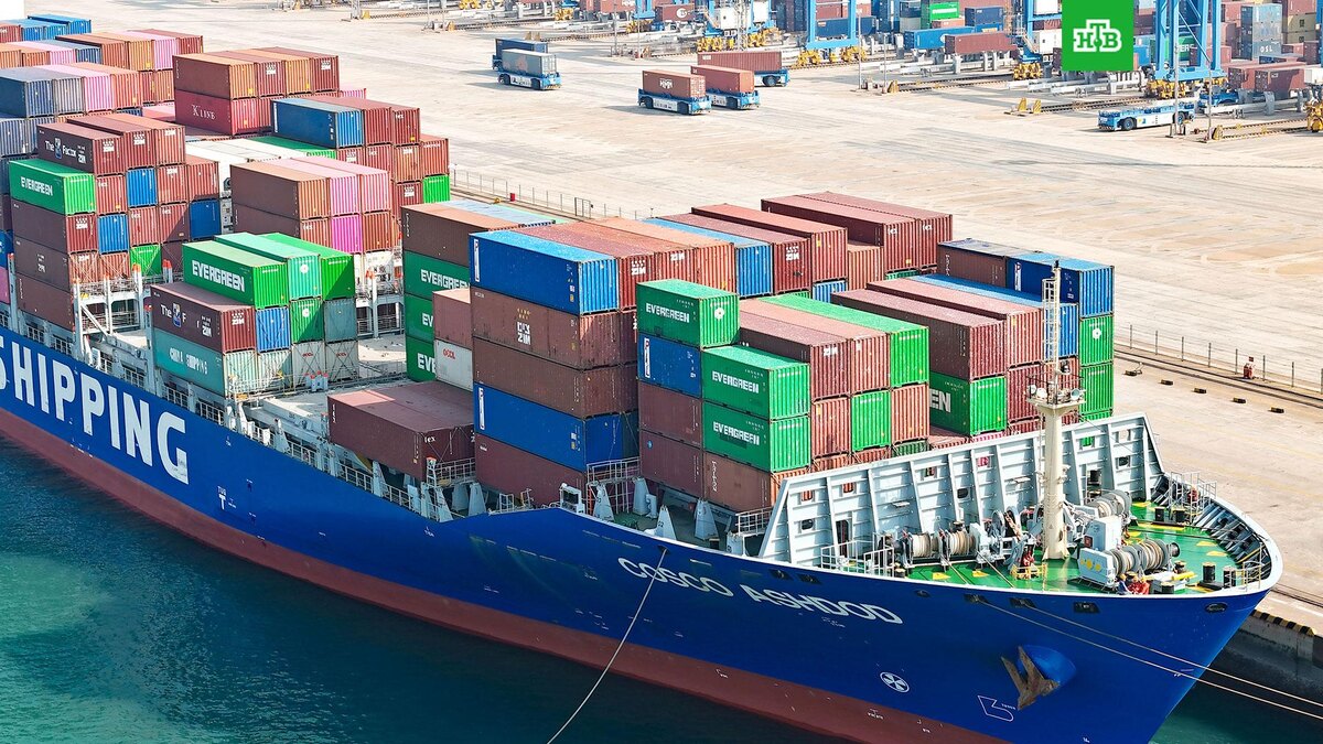    Фото: Visual China Group / ТАСС