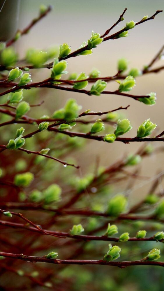 by Pinterest для Дзен канала «Дрюк Сергей | Стихи и проза»