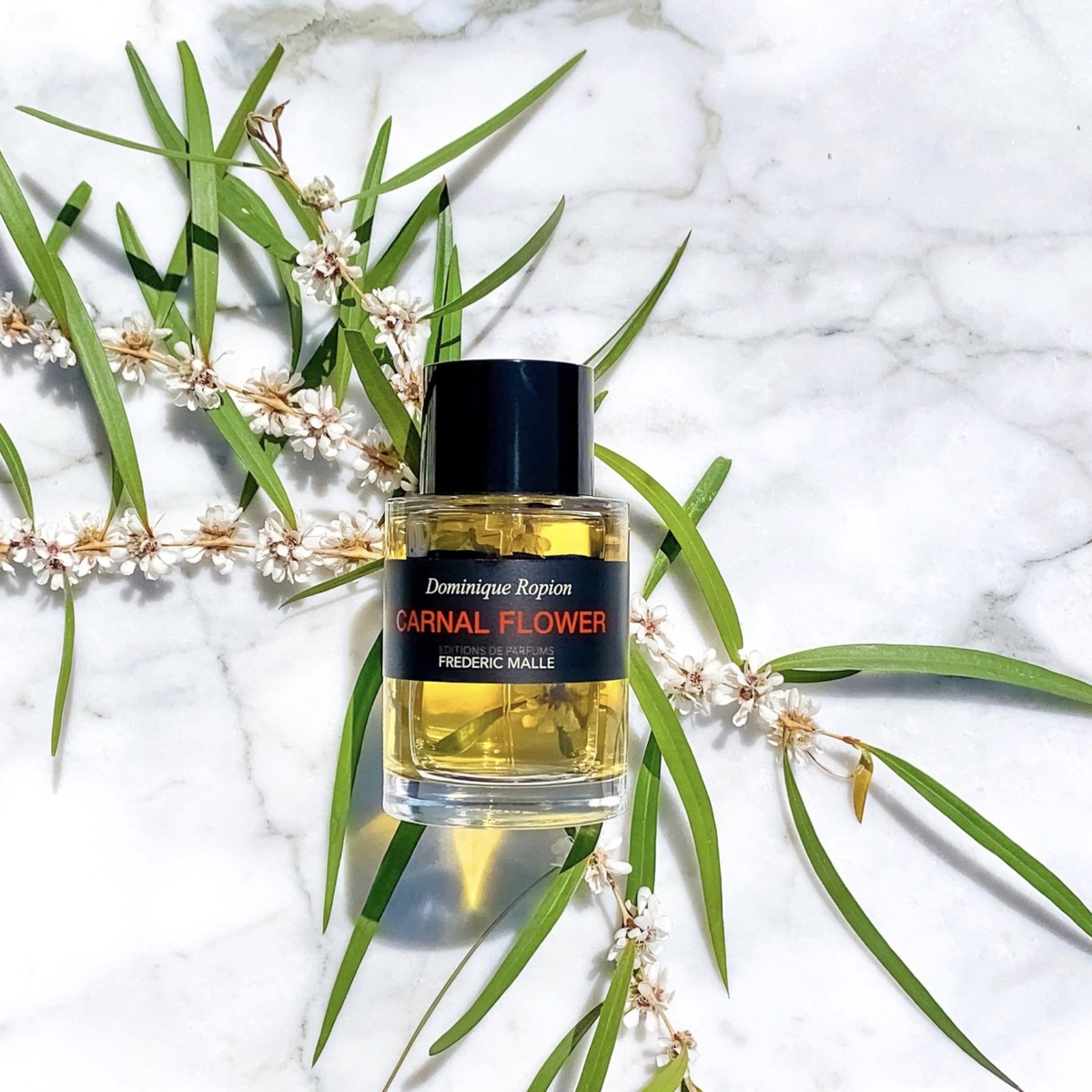 2005 год, парфюмер Доминик Ропьон