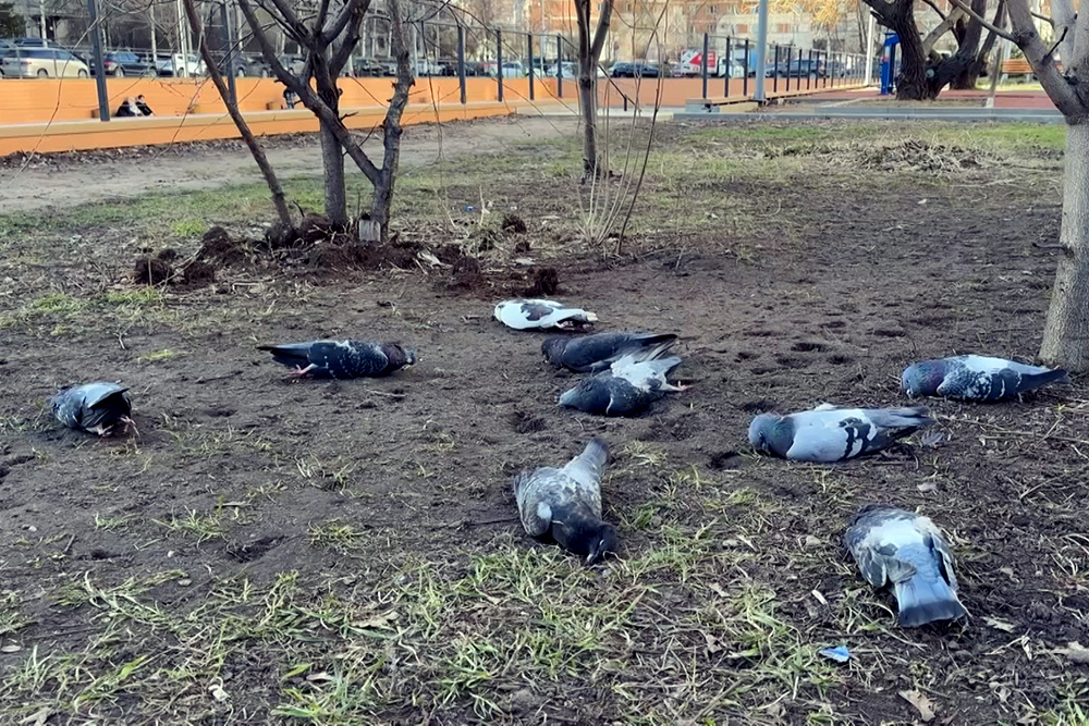    ©АО "ТВ Центр"