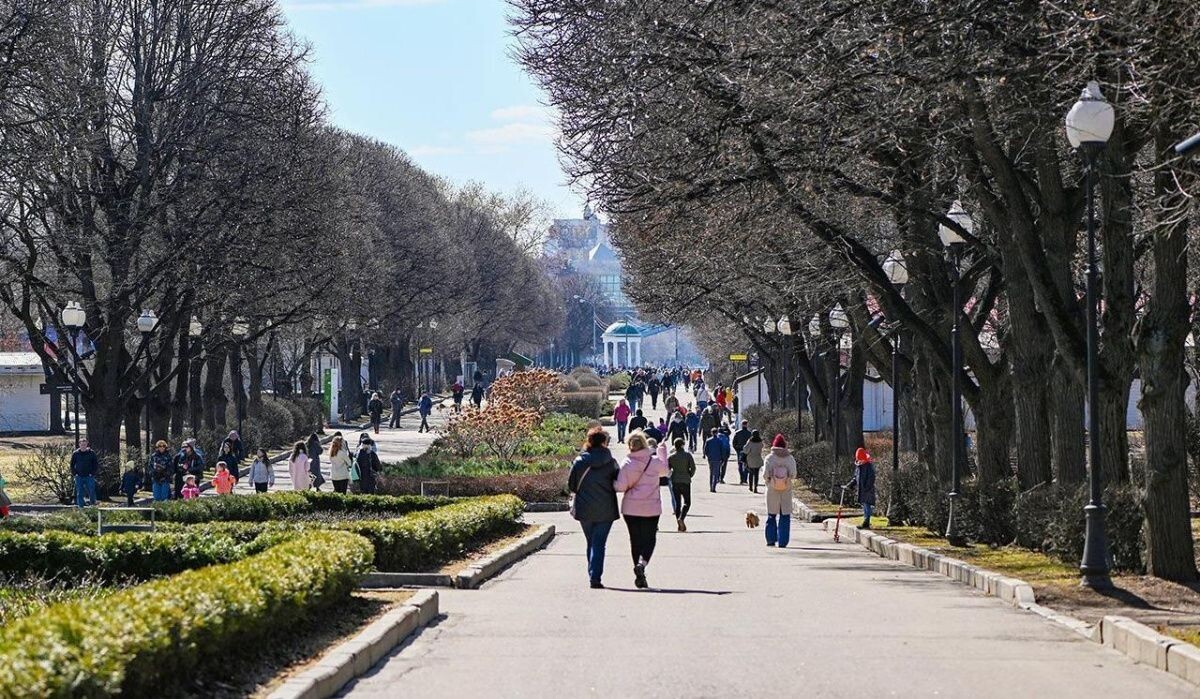     Люди в парке. Источник: mos.ru Автор фото: Пресс-служба Мэра и Правительства Москвы