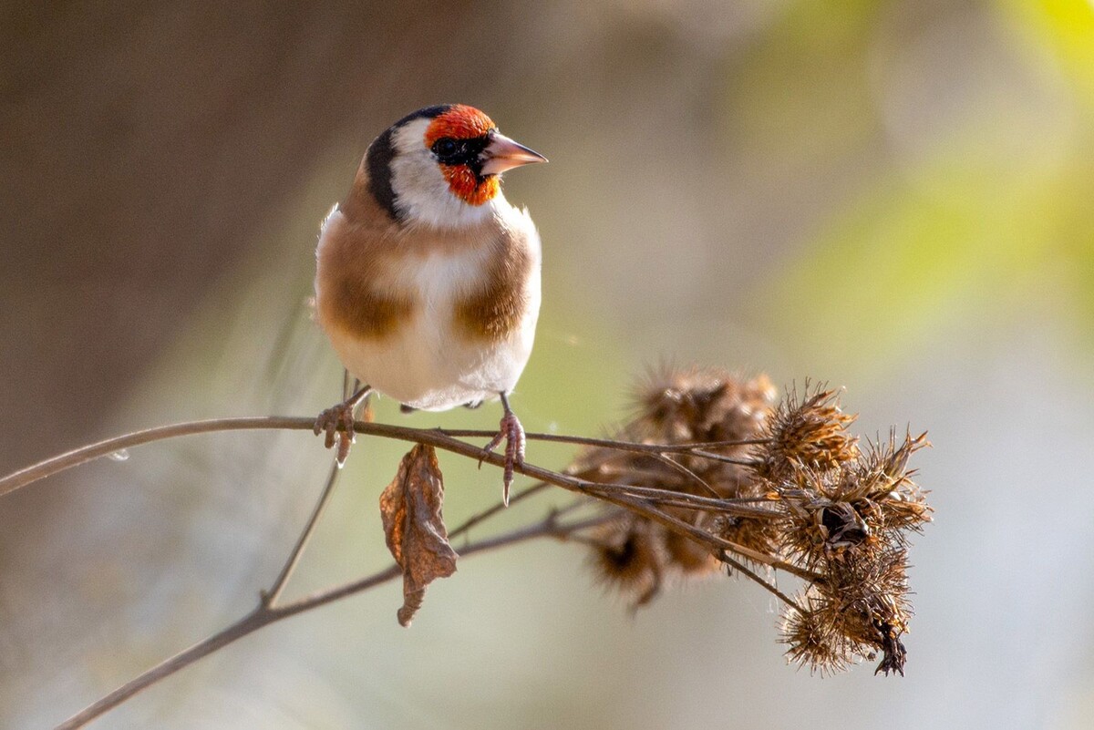    Чем заняться в московских парках 5 и 6 апреля: афиша мероприятий