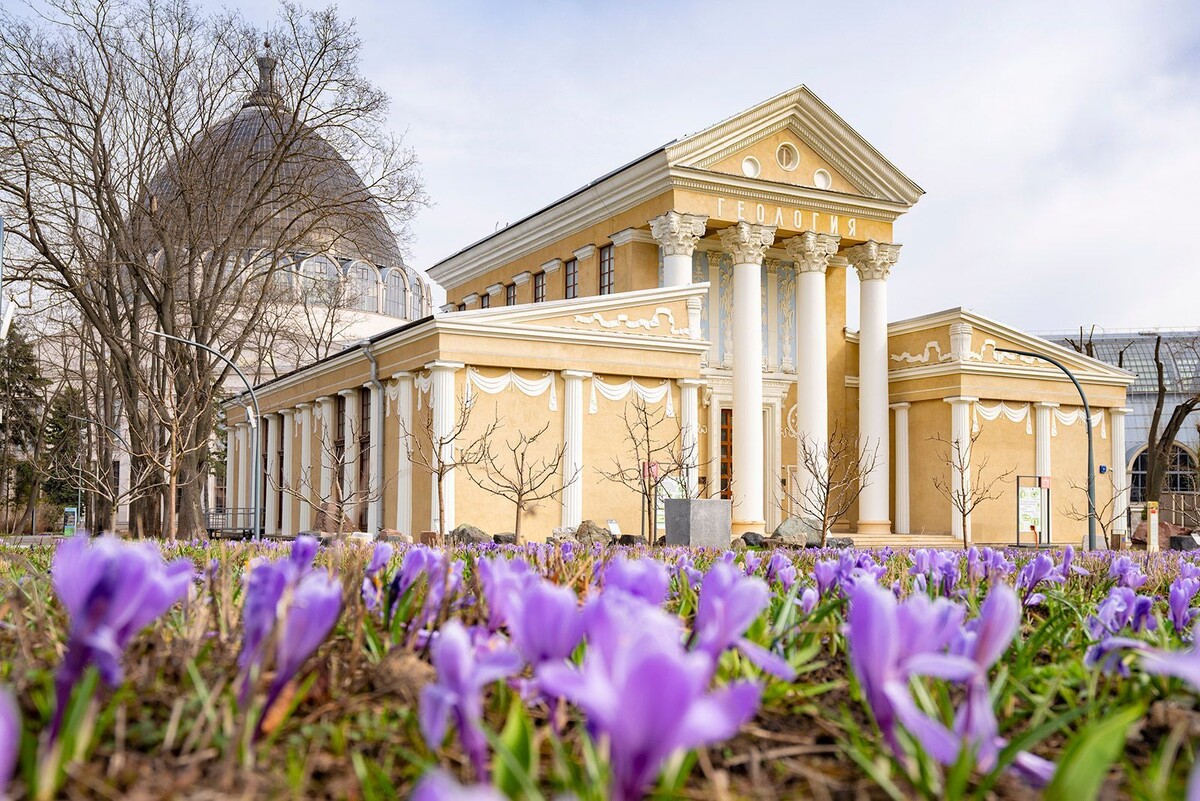    На ВДНХ зацвели первые весенние растения