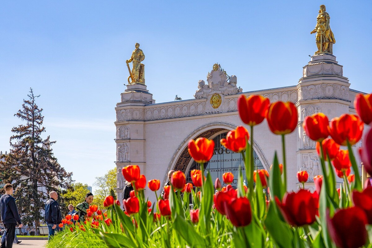    На ВДНХ зацвели первые весенние растения