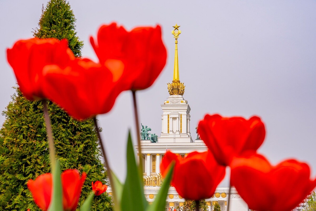    На ВДНХ зацвели первые весенние растения