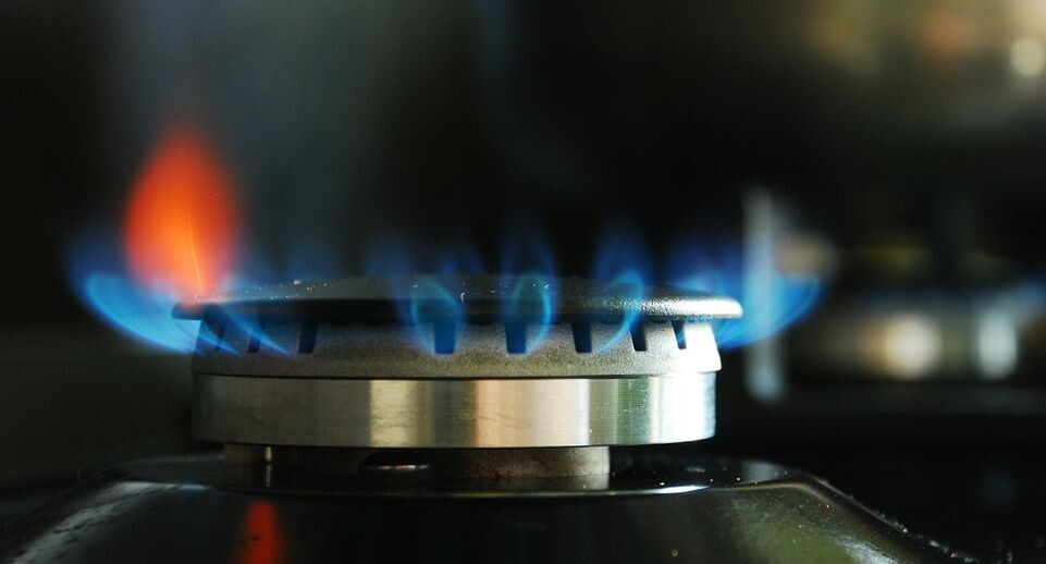    Alexander Legky/Global Look Press / www.globallookpress.com