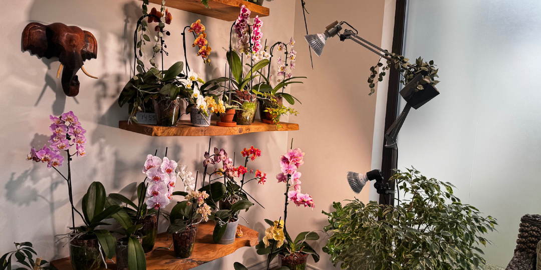 ТРЕНД : смотрим и не осуждаем .