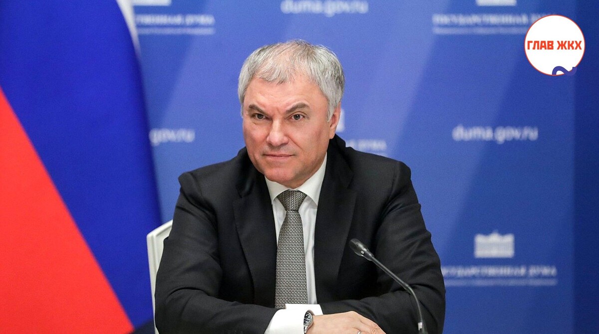 Вячеслав Володин поручил проработать предложения Следственного комитета по защите людей от бездомных животных
