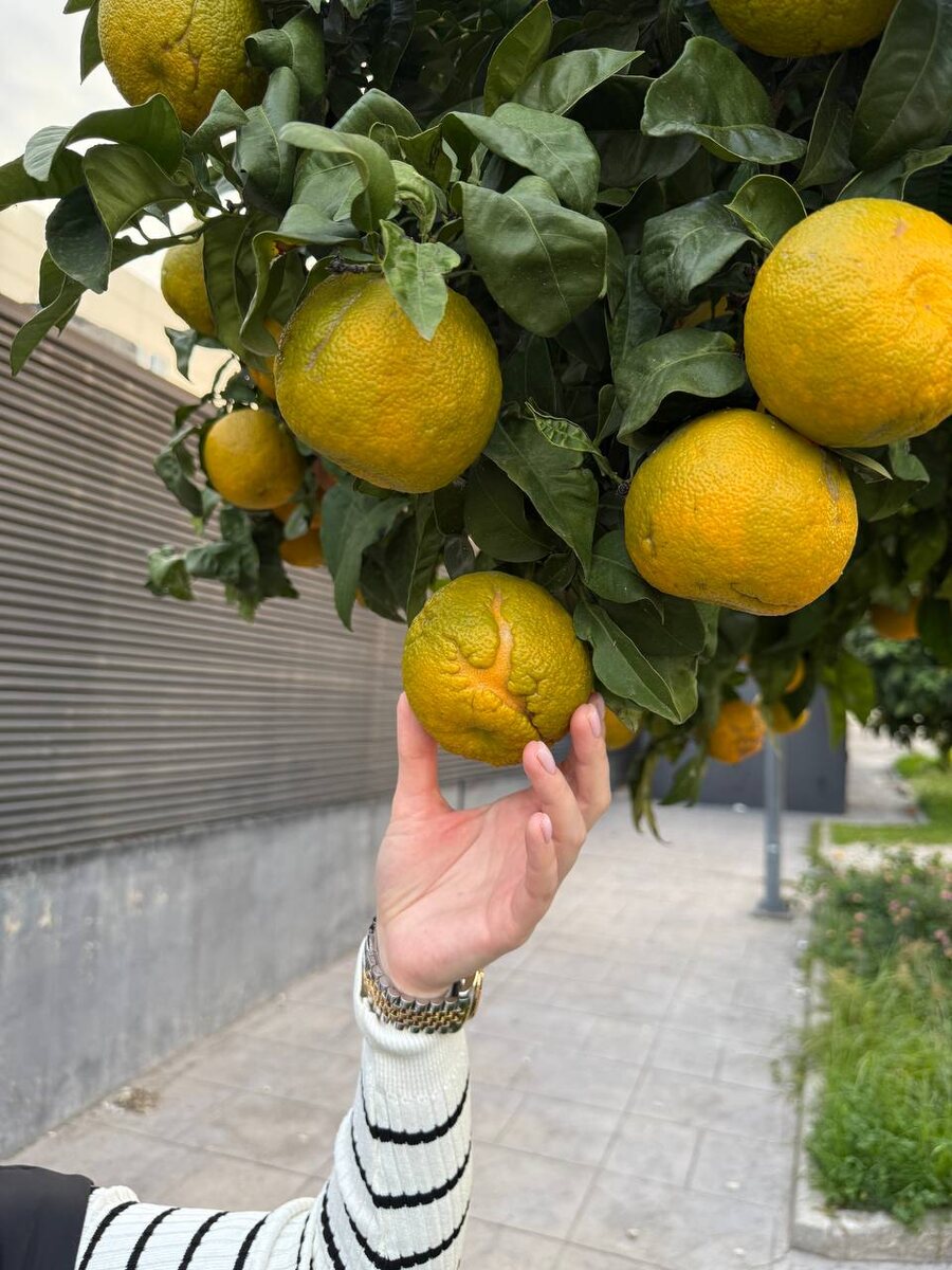 Фото из моего архива