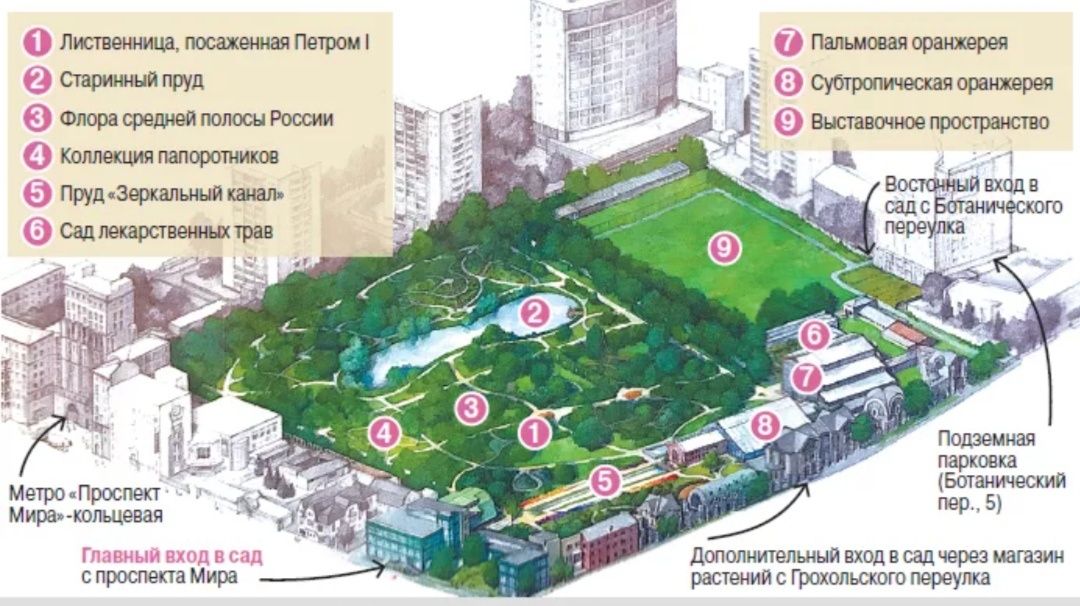 Фото из интернета 