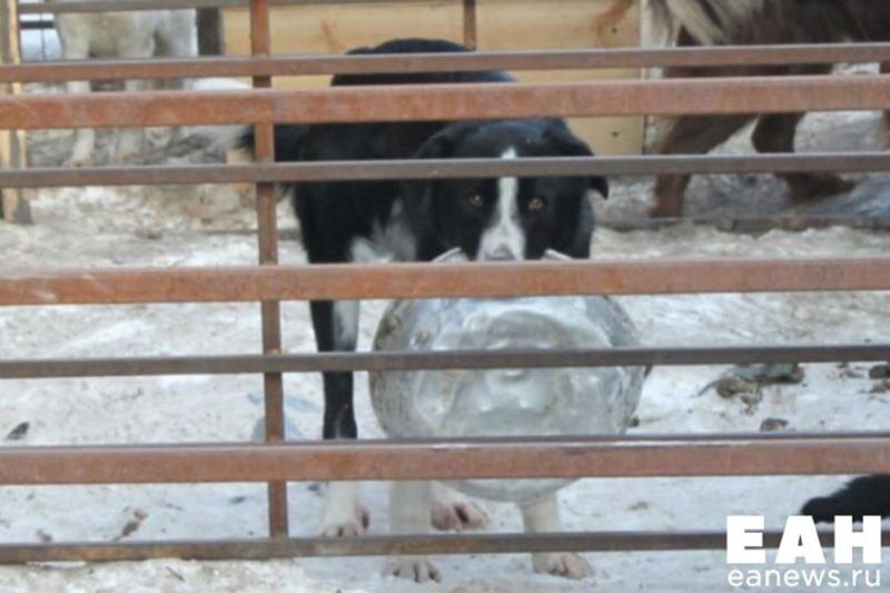    Архивное фото ЕАН