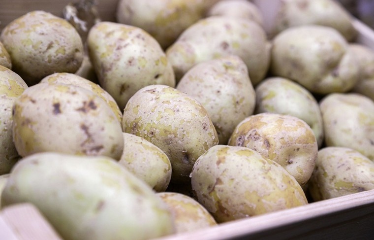    Сергей Булкин/NEWS.ru