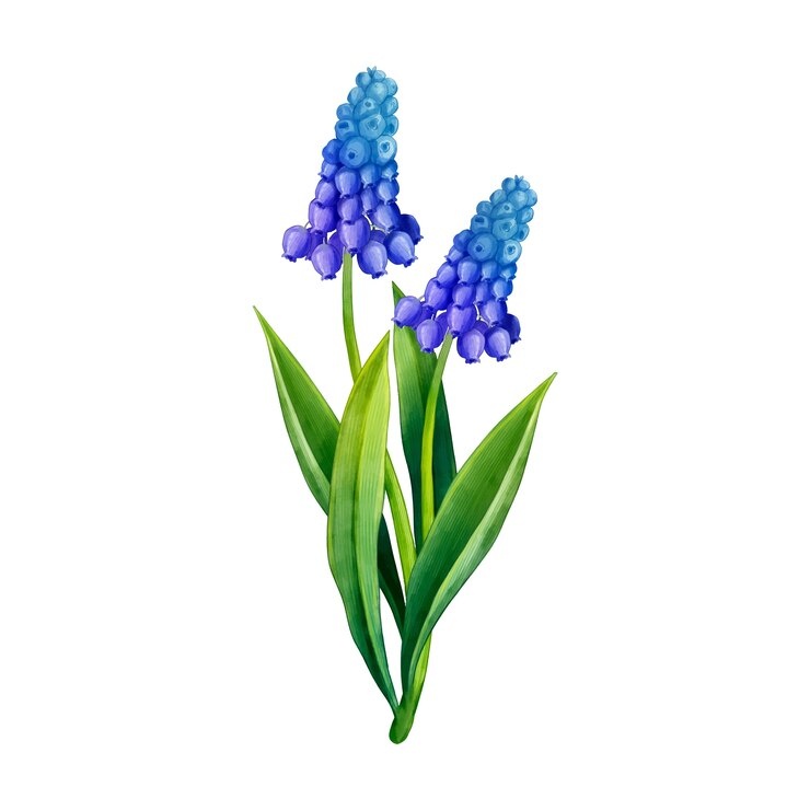 Изображение из источника www.freepik.com