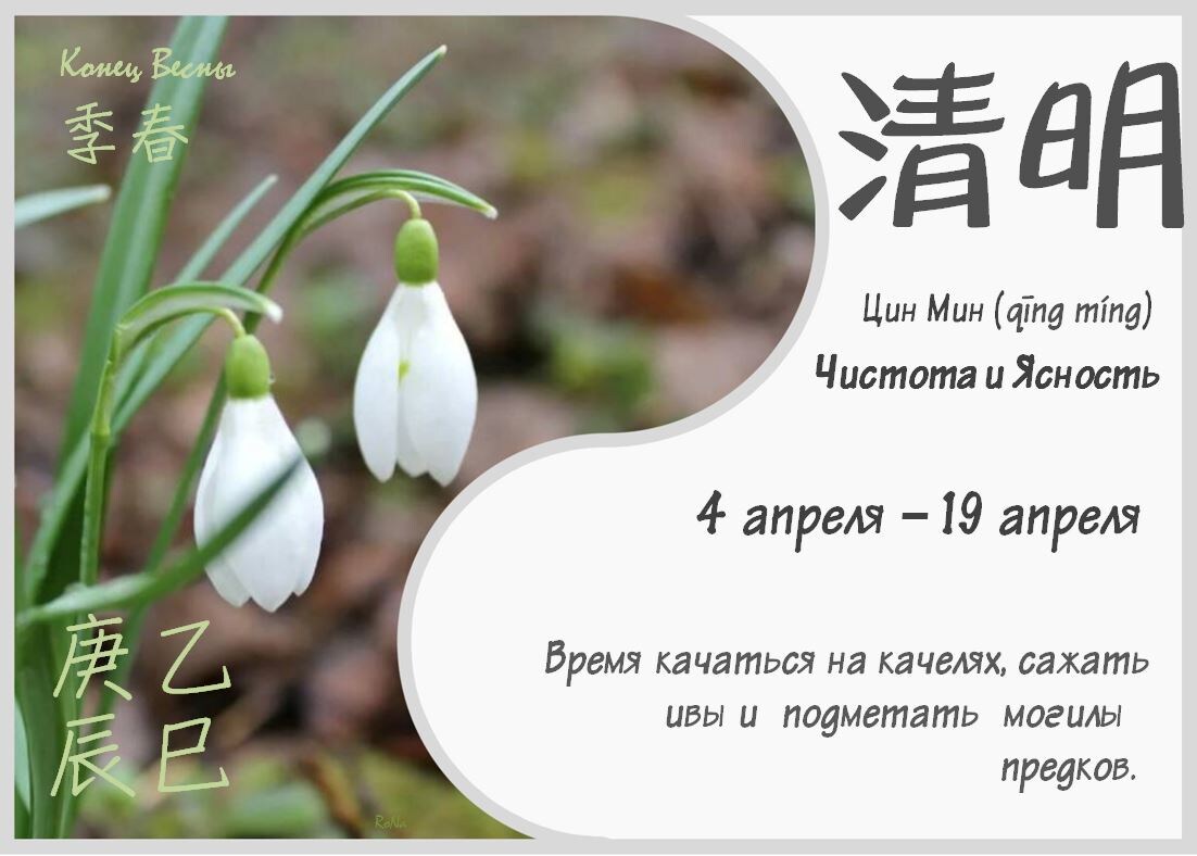 Галантусы. 24 сезона - Цин Мин