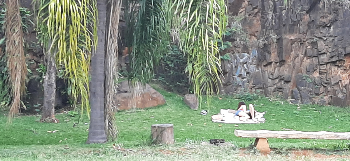 Кампинас (штат Сан-Паулу)