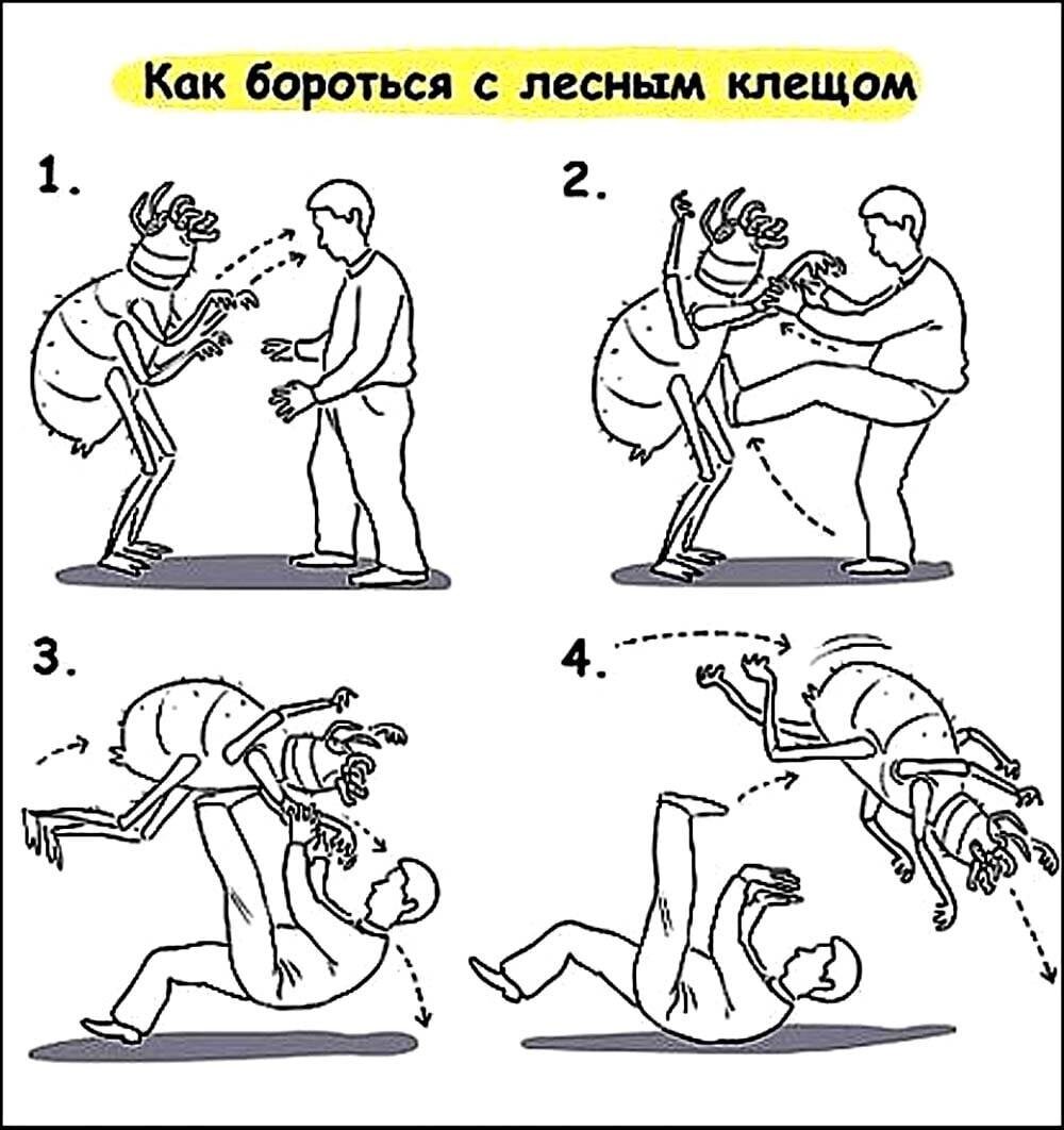 Гайд по борьбе с клещами