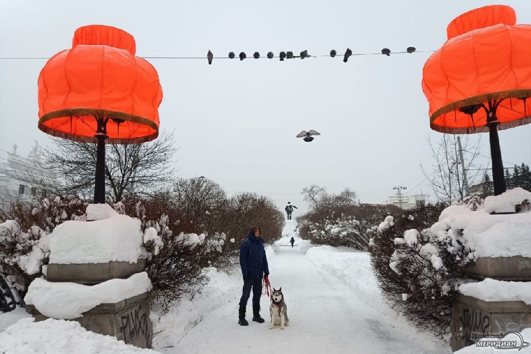    Фото: читатель © ИА «Уральский меридиан»