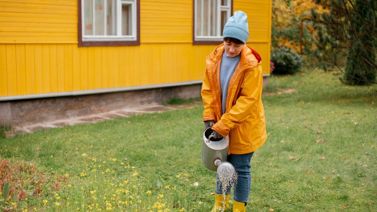    Начните работу на дачном участке с исследования территории. Фото: Freepik.com