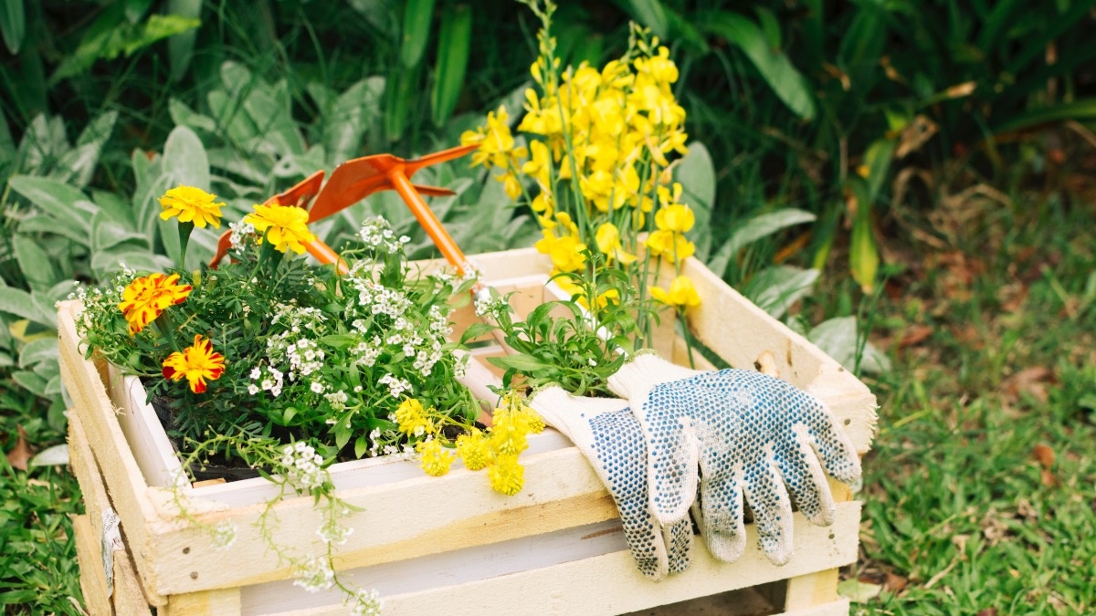    До посадки цветов еще далеко. Фото: Freepik.com