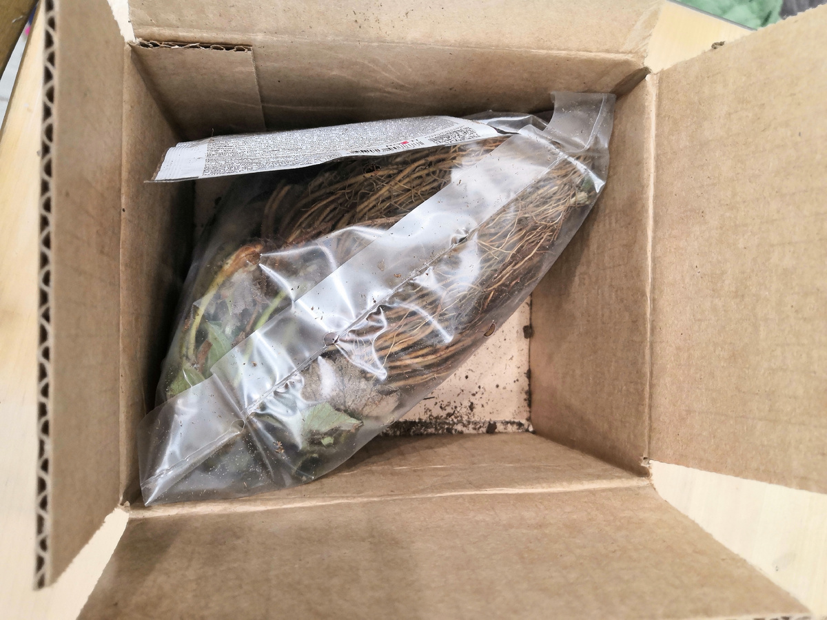 Пакет с растючкой