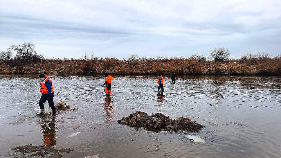 Фото: Андрей Шуткин, Telegram
