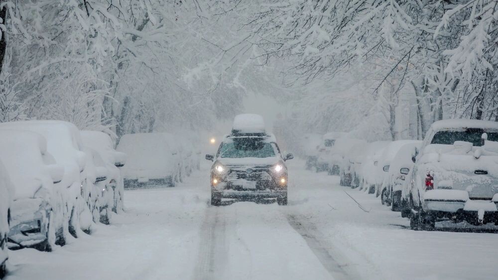    Фото: christianthiel.net/Shutterstock/Fotodom