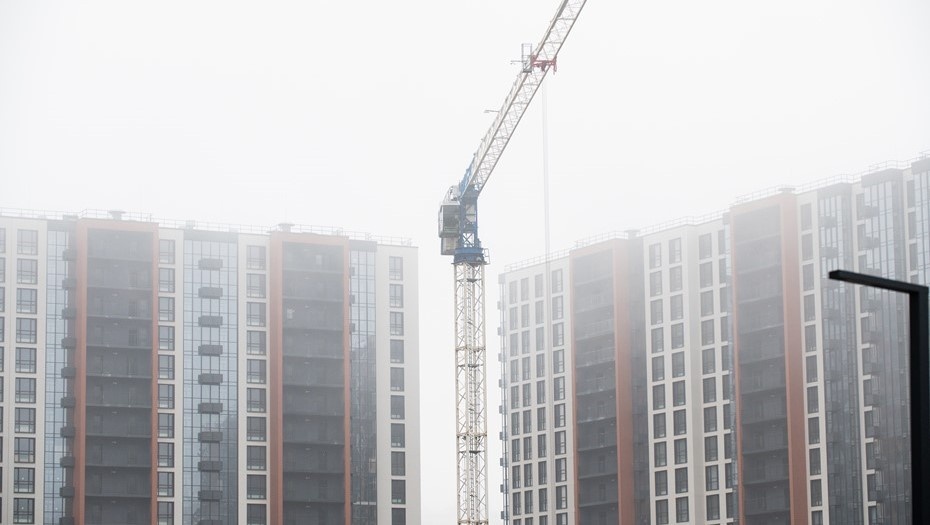    Автор фото: Ермохин Сергей/"ДП"