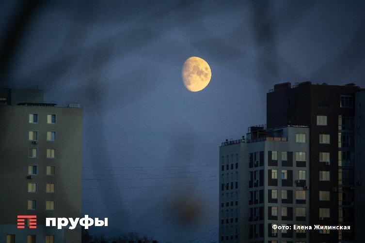    Фото: Пруфы.рф