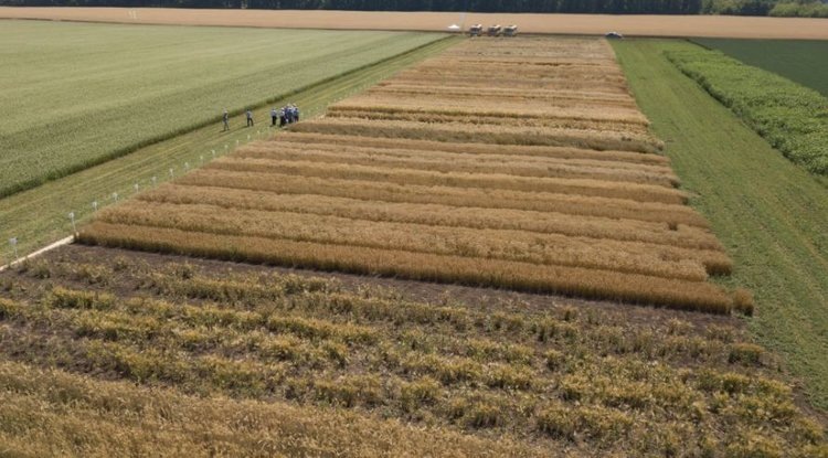    У аграриев Башкортостана повысилось доверие к страховым компаниям
