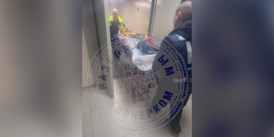 Фото: телеграм-канал "Максим Zабелин"