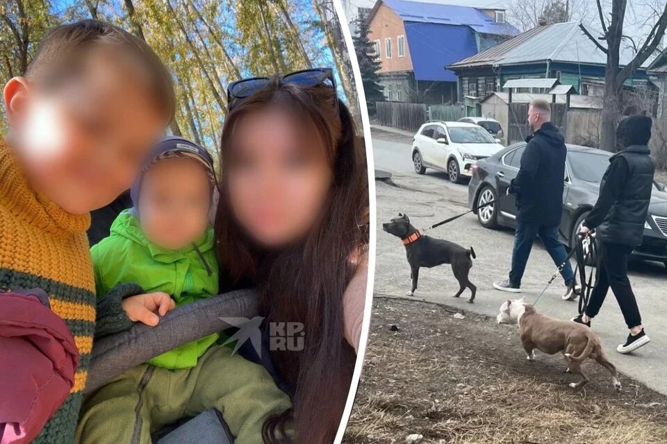    В Екатеринбурге жители микрорайона жалуются на хозяев бойцовских собак