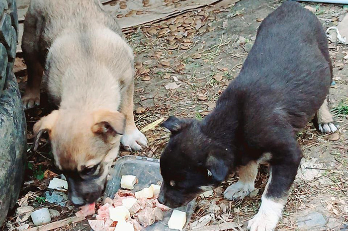 Фото: Наталья Дробная.