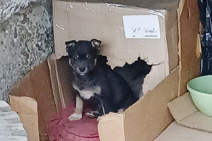 Фото: Наталья Дробная.