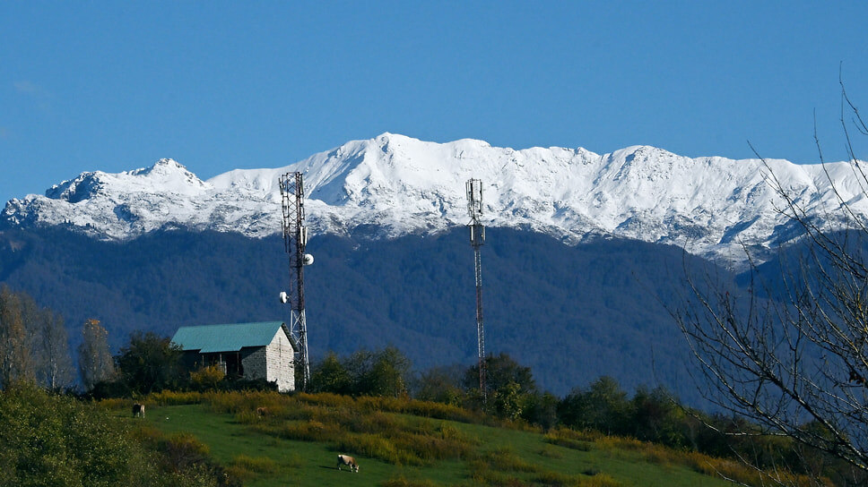 Фото: Анатолий Жданов / Коммерсантъ