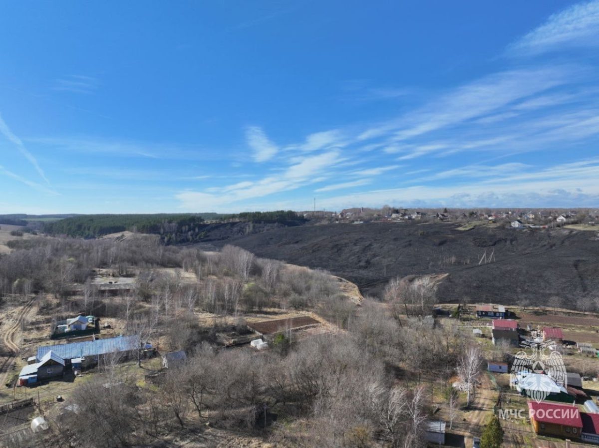    Пожар случился на площади 50 гектаров.