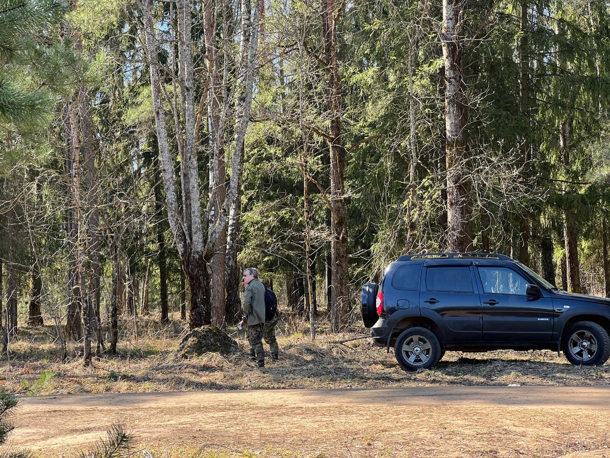 Фото автора. 04.04.25