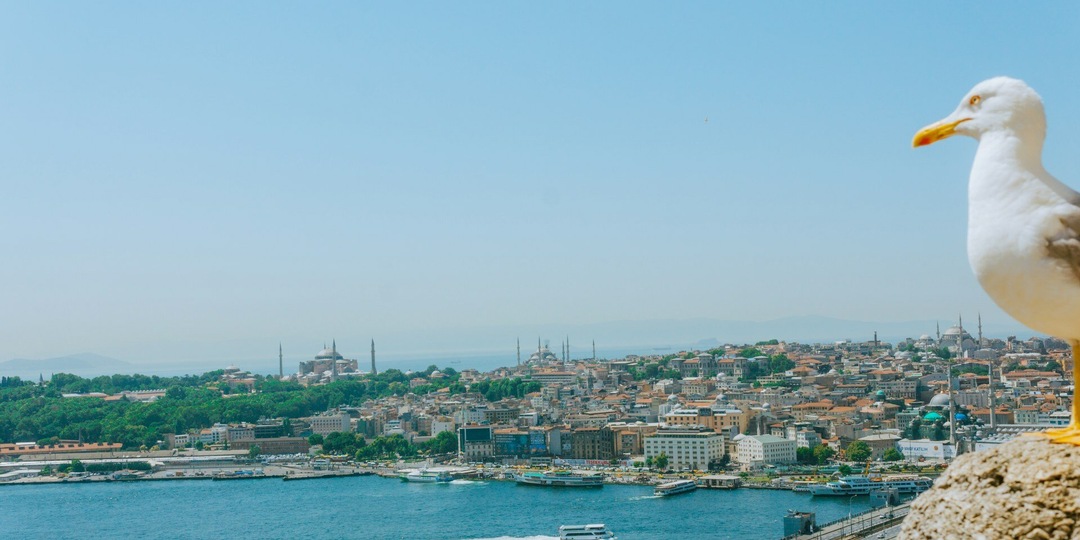 Когда лучше ехать в Стамбул? Выбираем лучшие сезоны для прогулок