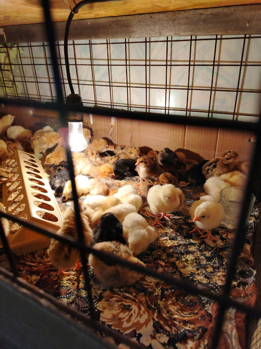 А у нас вечер. 1 сутки. 