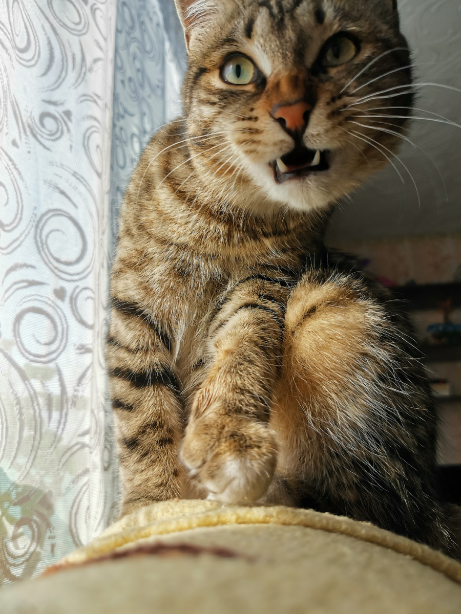 «Что-то не нравится?»