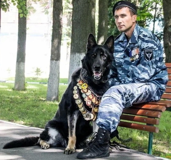 Жизнь удалась