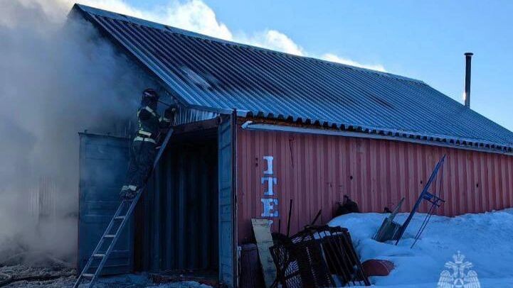    Фото: t.me/gumchsyanao89